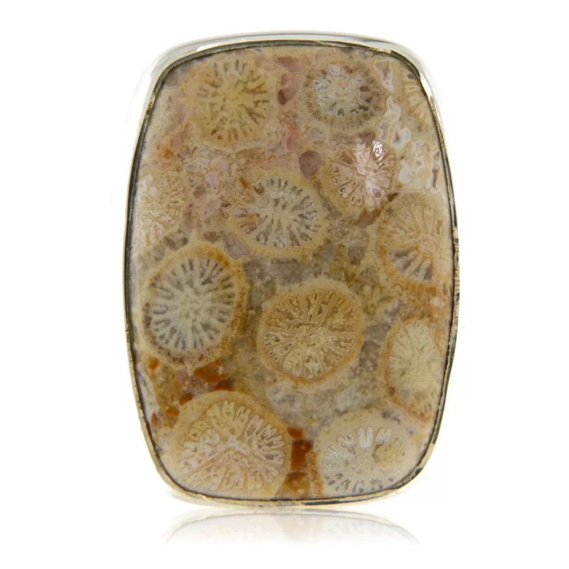 Inel Argint 925 Coral Fossil Natural - Poveste Unica