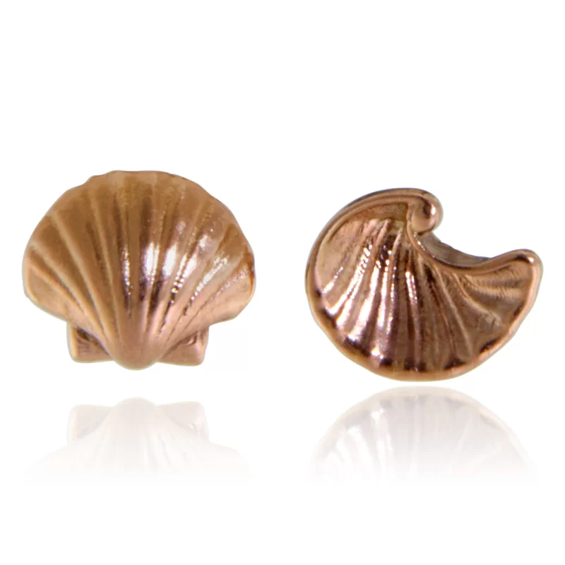 Cercei Stud Aur Roz 14k Scoici - Armonie marina