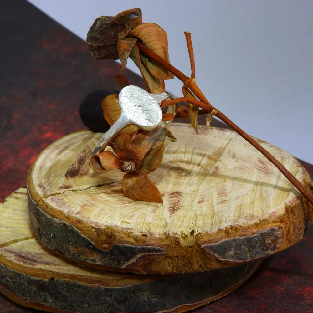 Inel Argint 925 Oval Ice Mat | Minimalist Texturat