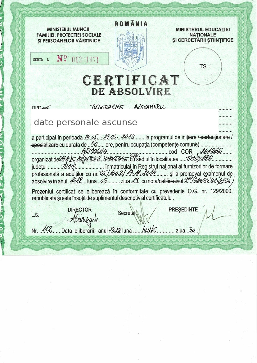 Certificat Gemolog Alexandru Tudorache